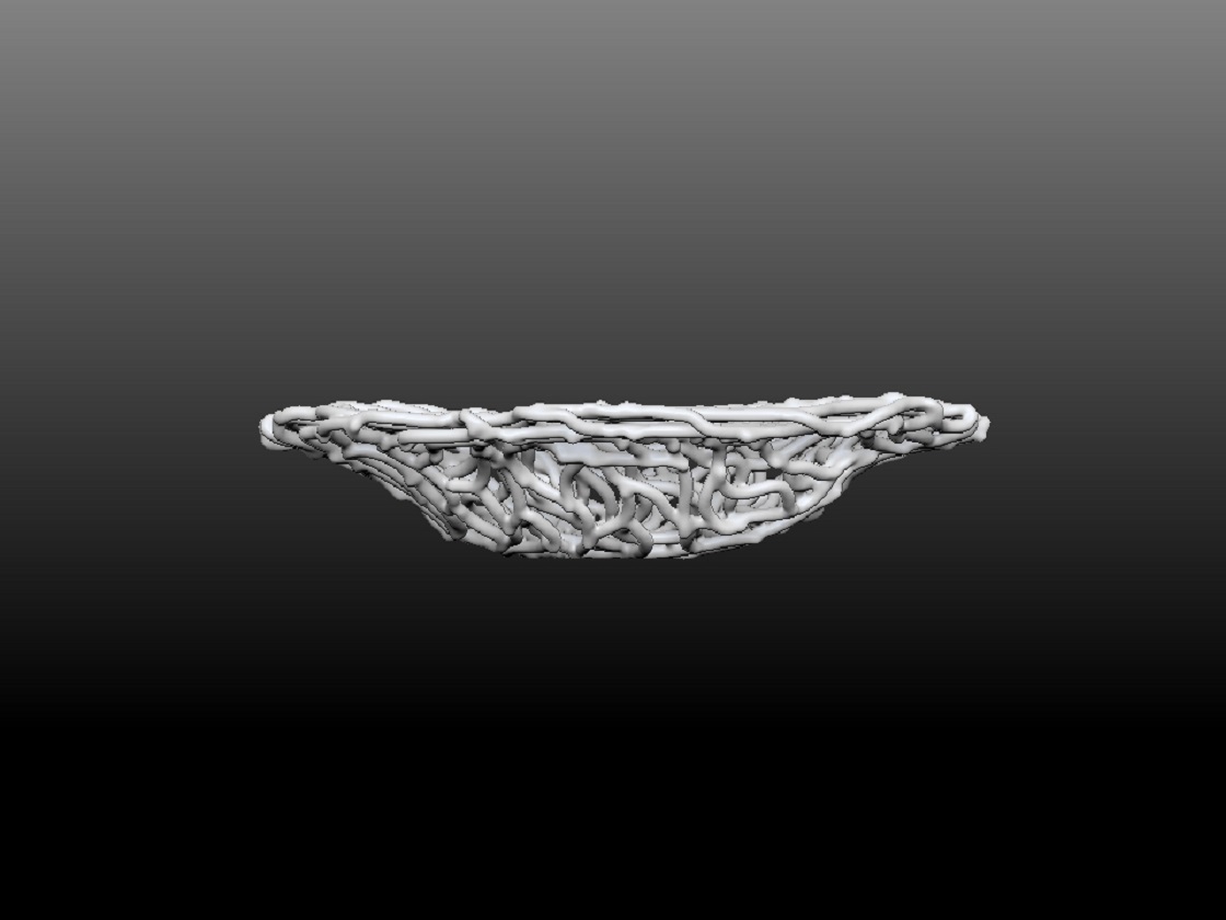 FLOW ROUND BOWL - CORAL BRANCH SIDE VIEW